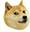 :doge