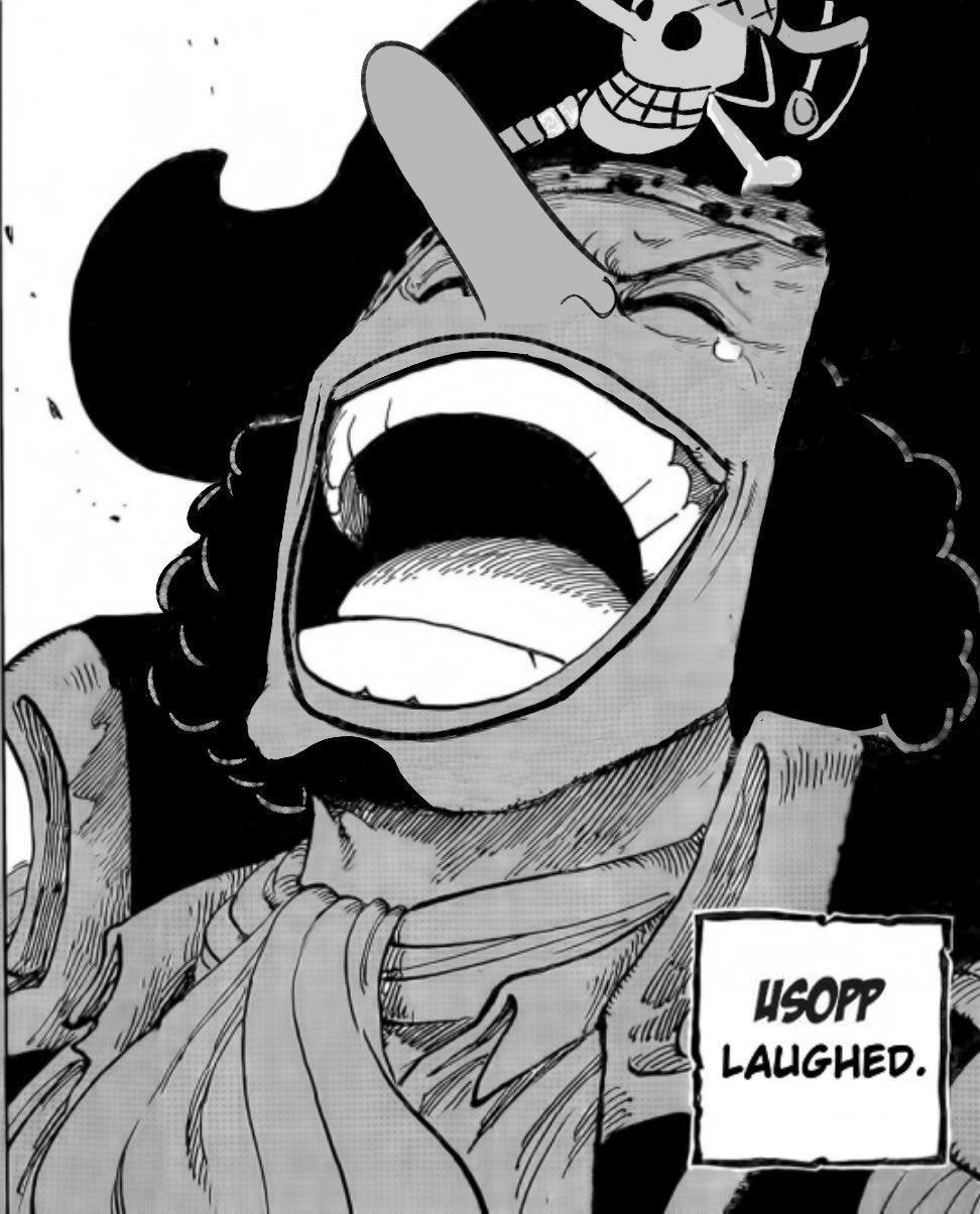 usopp-laughed.jpg